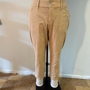Torrid Beige Stripped Pants